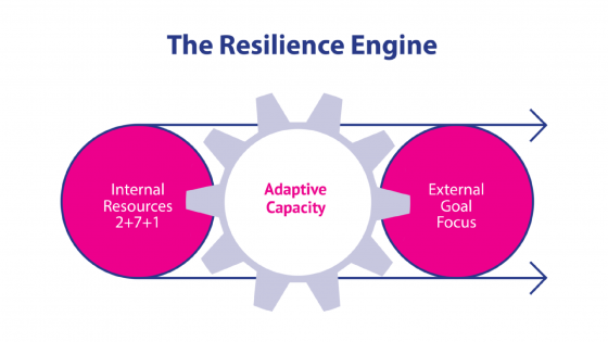 Resilience-engine-thumbnail